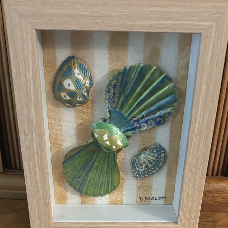 Coastal Scallop Shadow Box