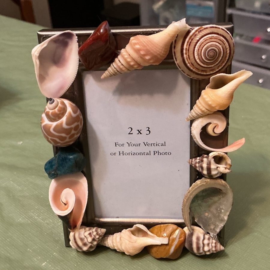 Seashell Picture Frame