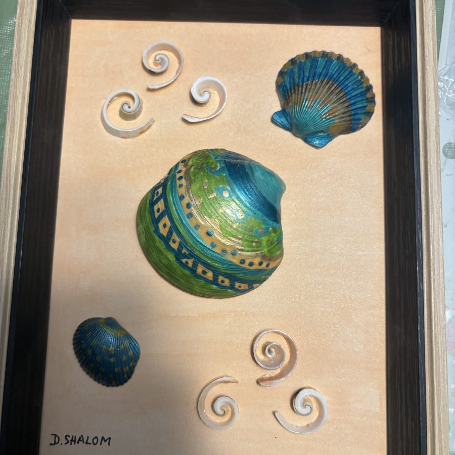 Coastal Shell Composition