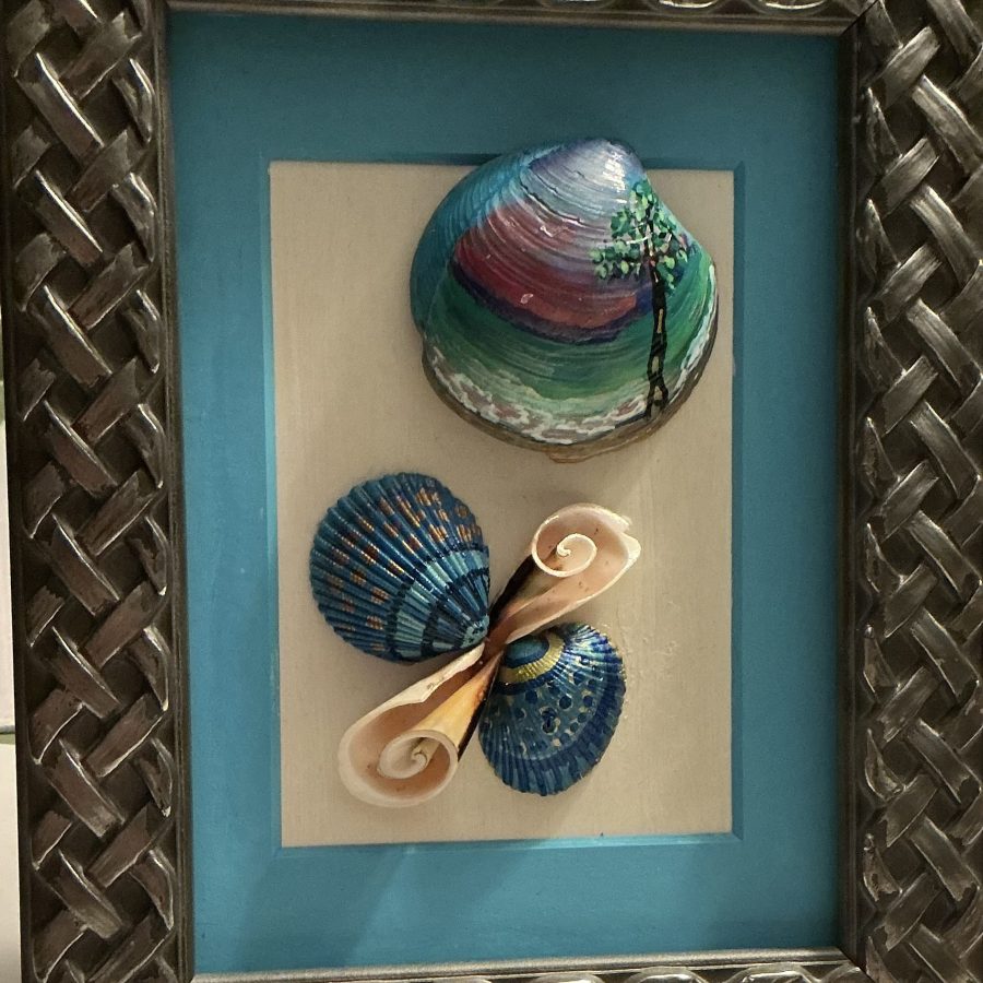 Painted Shell Study